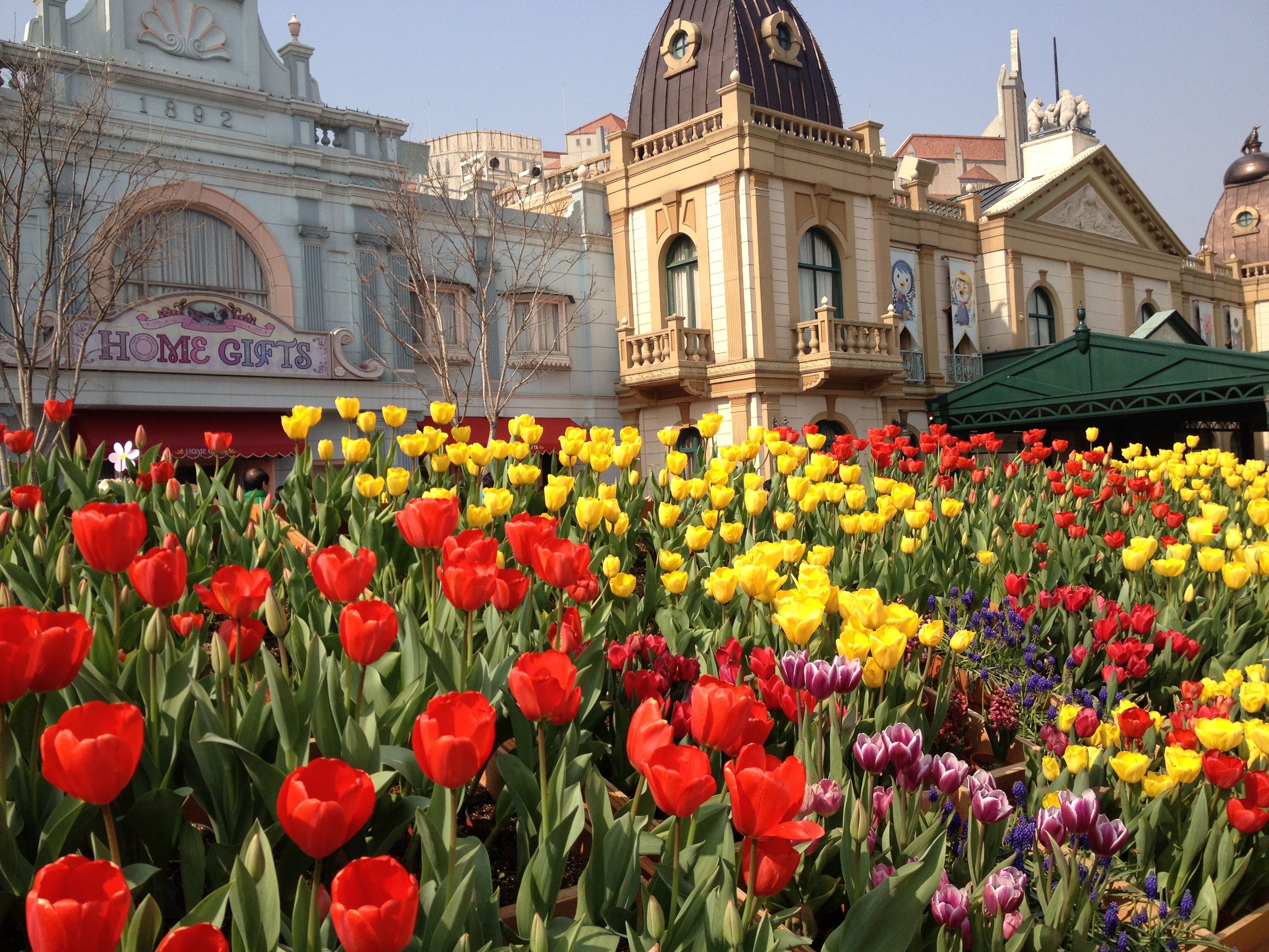 Have fun at Everland, Korea’s largest theme park.