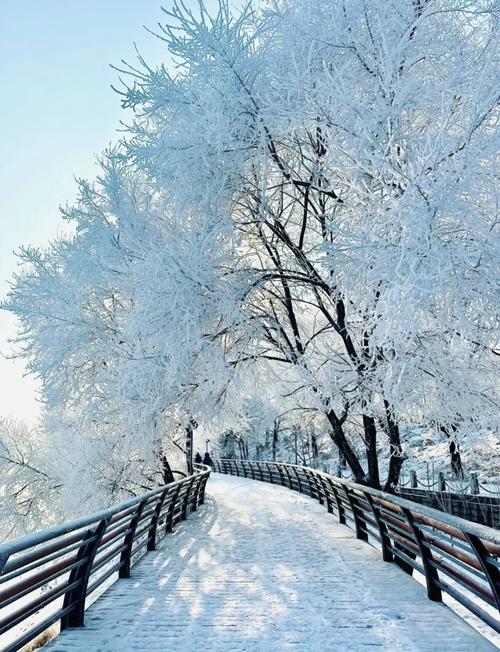 Marvel at the enchanting frost-covered trees of Jilin.