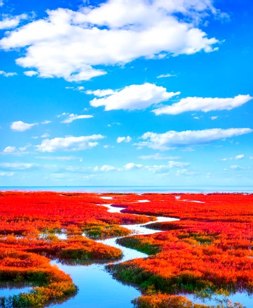 Witness the breathtaking natural phenomenon of crimson seaweed blanketing the coastline each autumn.