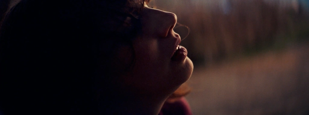 Captura de pantalla 2025-03-01 a las 16.48.35