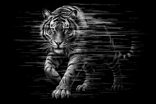 a beautiful black and white tiger with a black background, half of his body is dissipating like a glitch