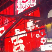 使用照片