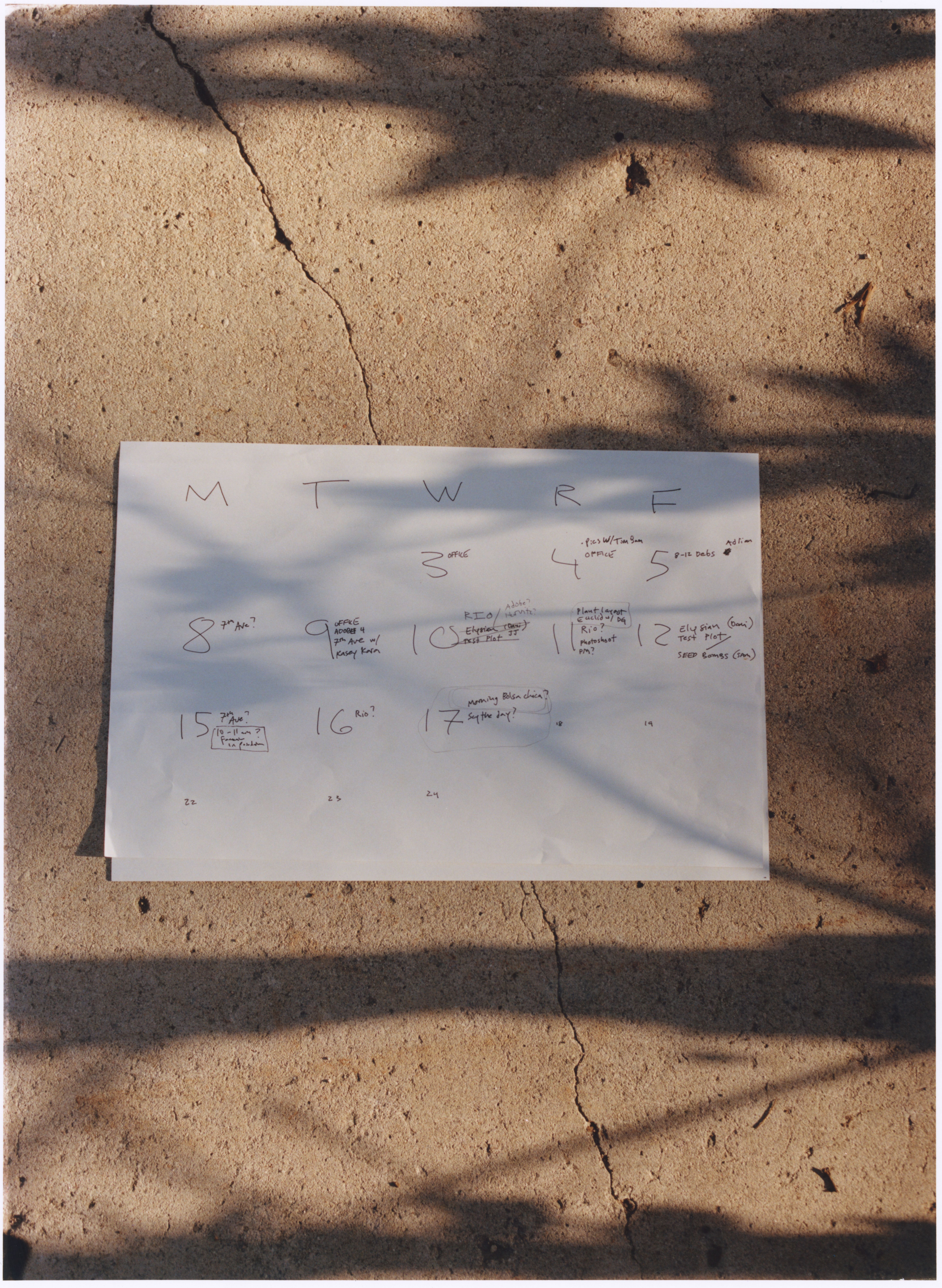 Draft landscaping schedual with Terremoto.