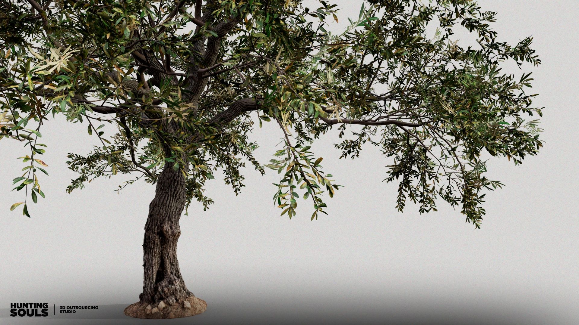Game-ready olive tree foliage asset with wind-ready LODs rendered in real time