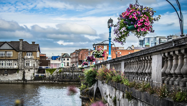 Pharmacy Courses in Ireland for International Students