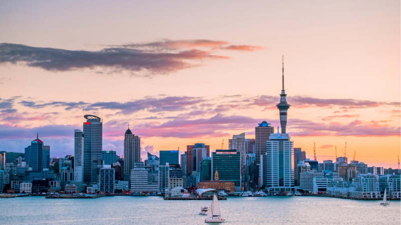 Study in New Zealand for International Students: A Complete 2026 Guide