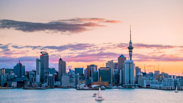 Study in New Zealand for Indian Students: A Basic Guide