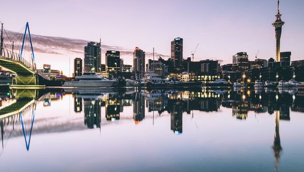 Top 5 Study Fields in New Zealand That Offer Strong PR Pathways