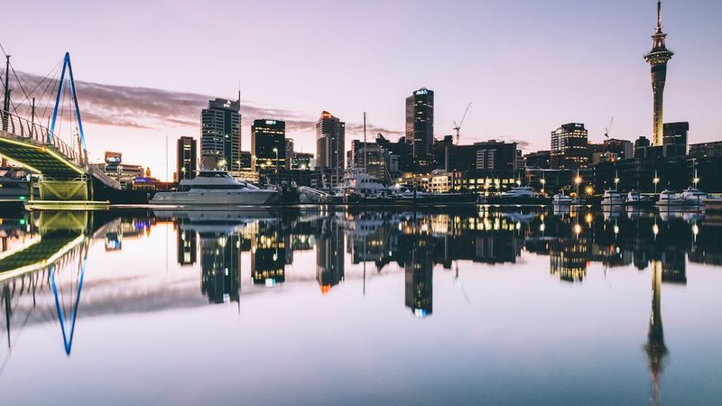 Top 5 Study Fields in New Zealand That Offer Strong PR Pathways
