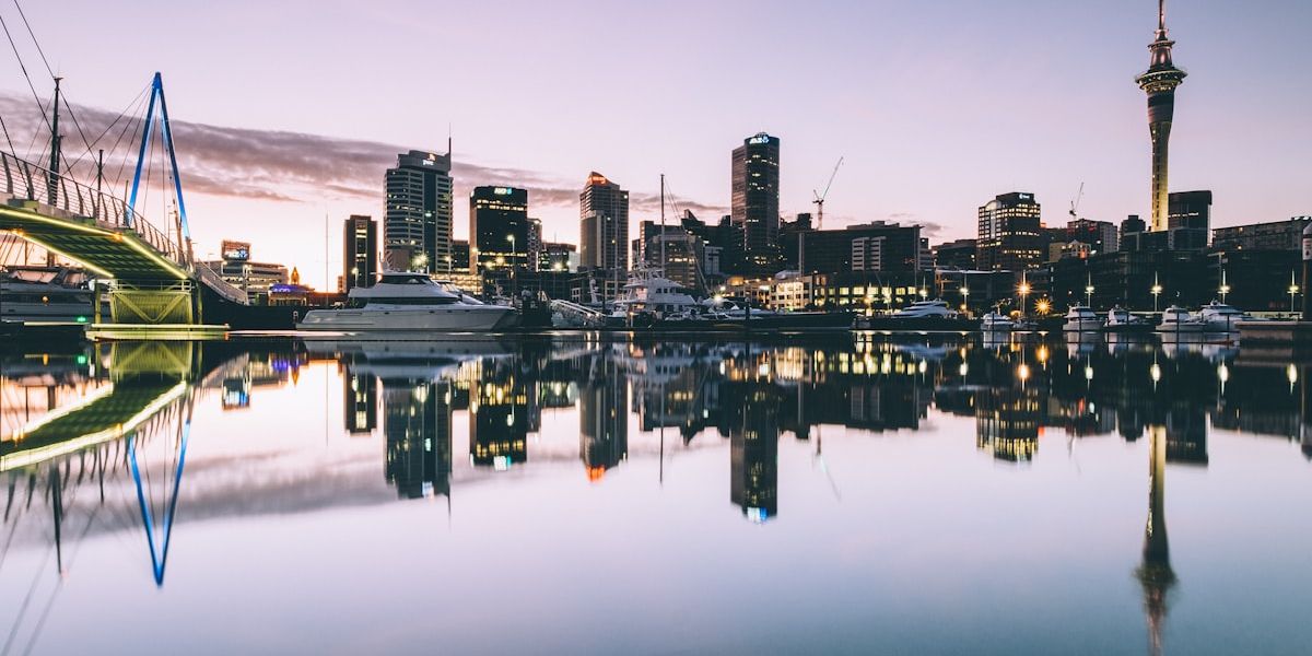 Top 5 Study Fields in New Zealand That Offer Strong PR Pathways
