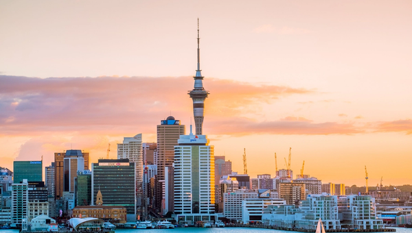 Best Courses in New Zealand for Indian Students: A Complete 2026 Guide