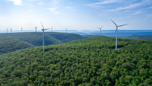 Renewable Energy and Environmental Sciences in Germany: A Complete 2026 Guide