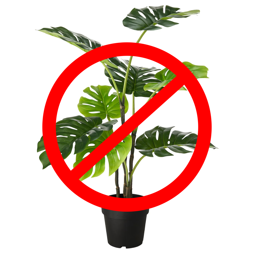 crossed signal on plant