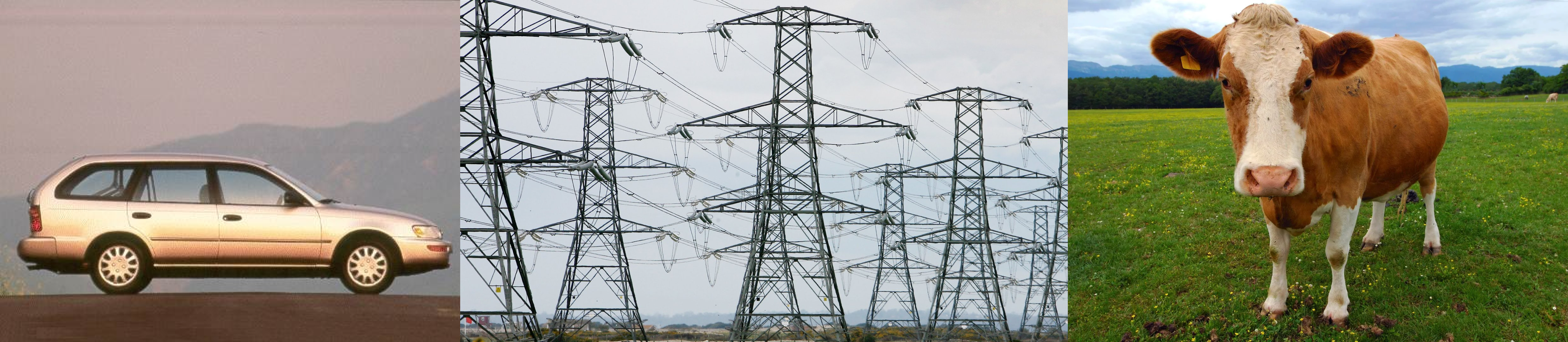 car, electricity towers, cows
