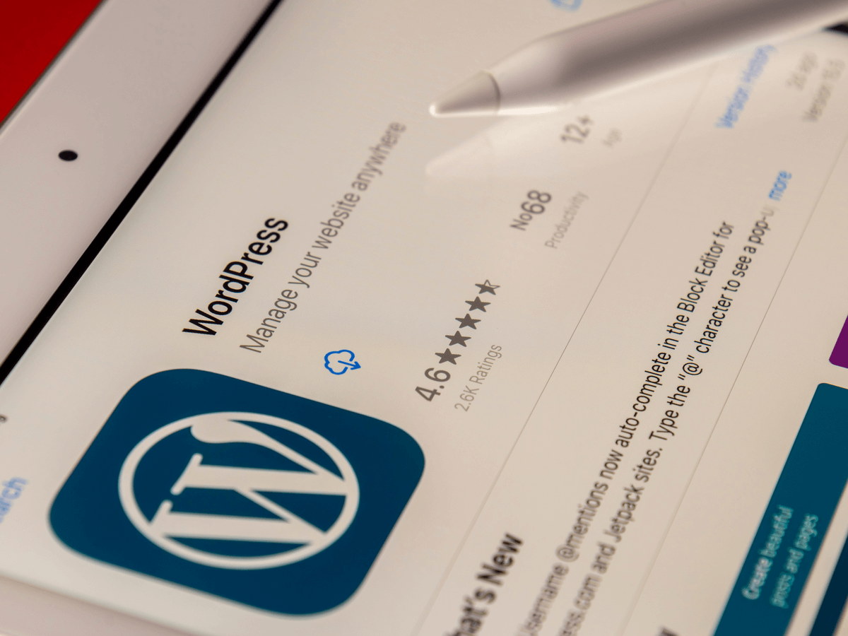 WordPress Websites
