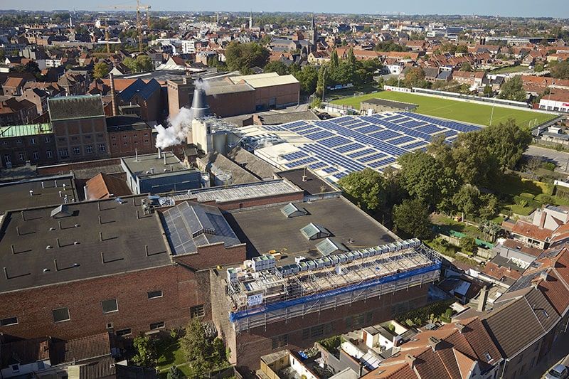 Palm Roeselare