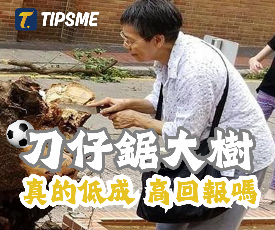 刀仔真的可以鋸大樹嗎