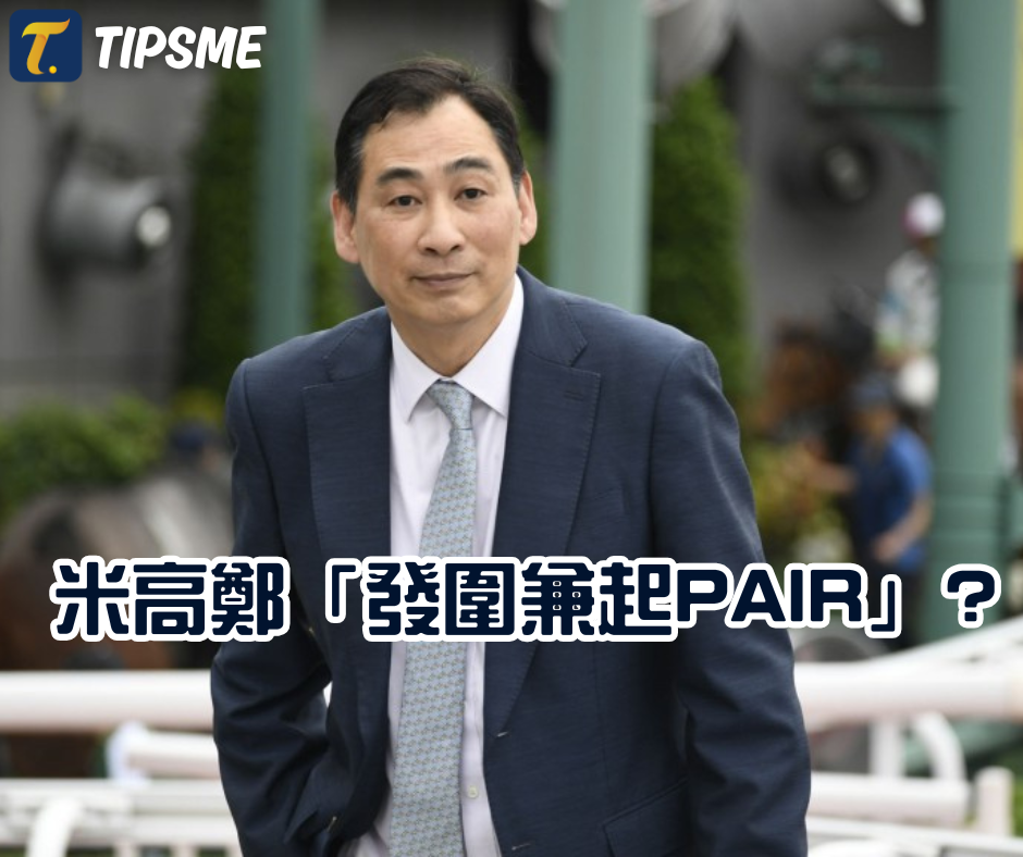 「米高鄭」反彈一季