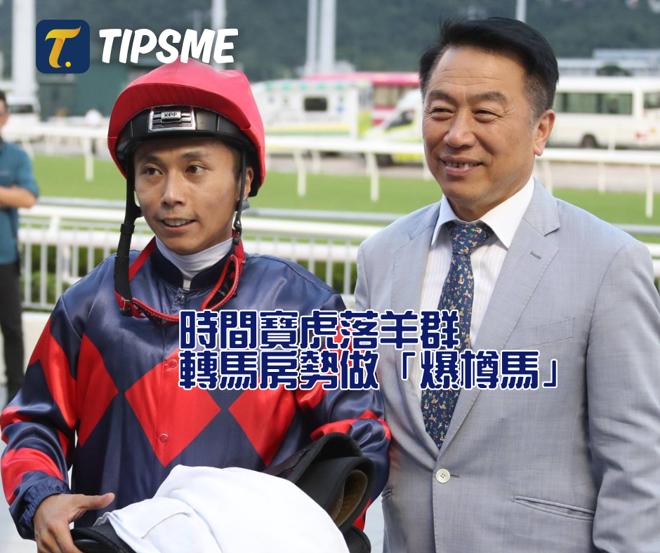 時間寶虎落羊群，轉馬房勢做「爆樽馬」