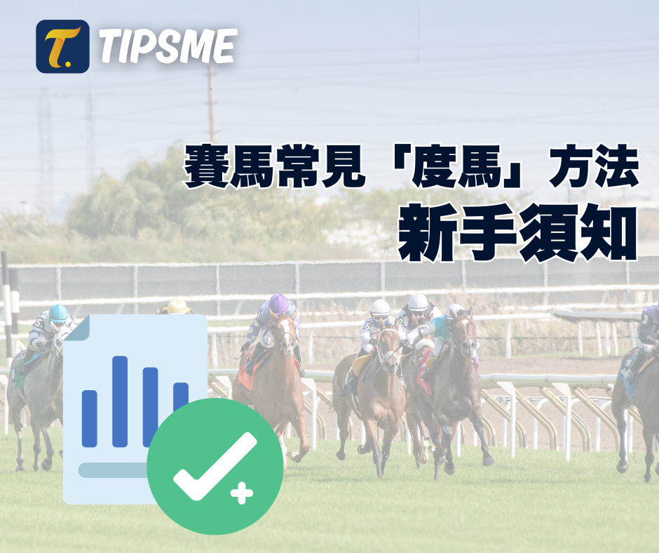 賽馬常見「度馬」方法｜新手須知