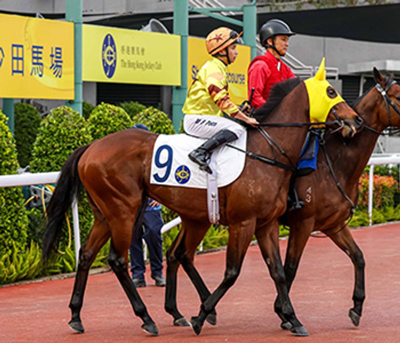 進傲星上季出賽