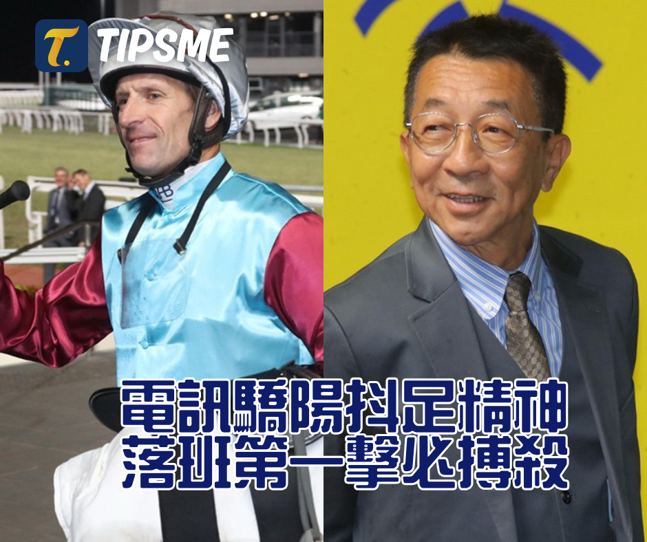 11月19日賽馬心水預測(跑馬地賽事）