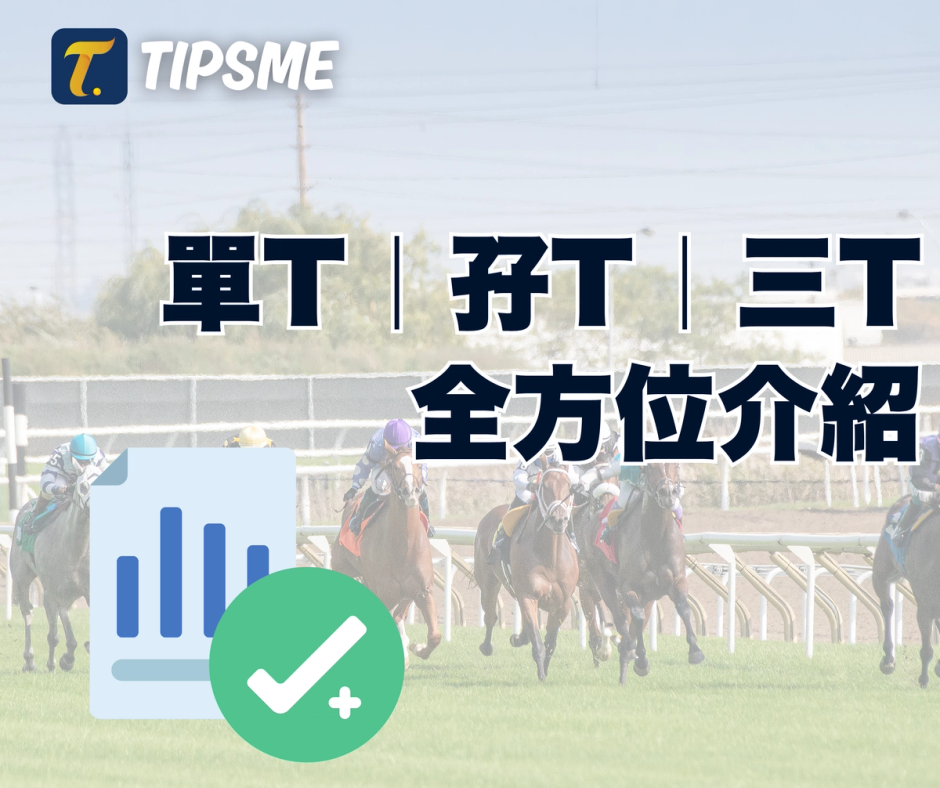 全方位介紹