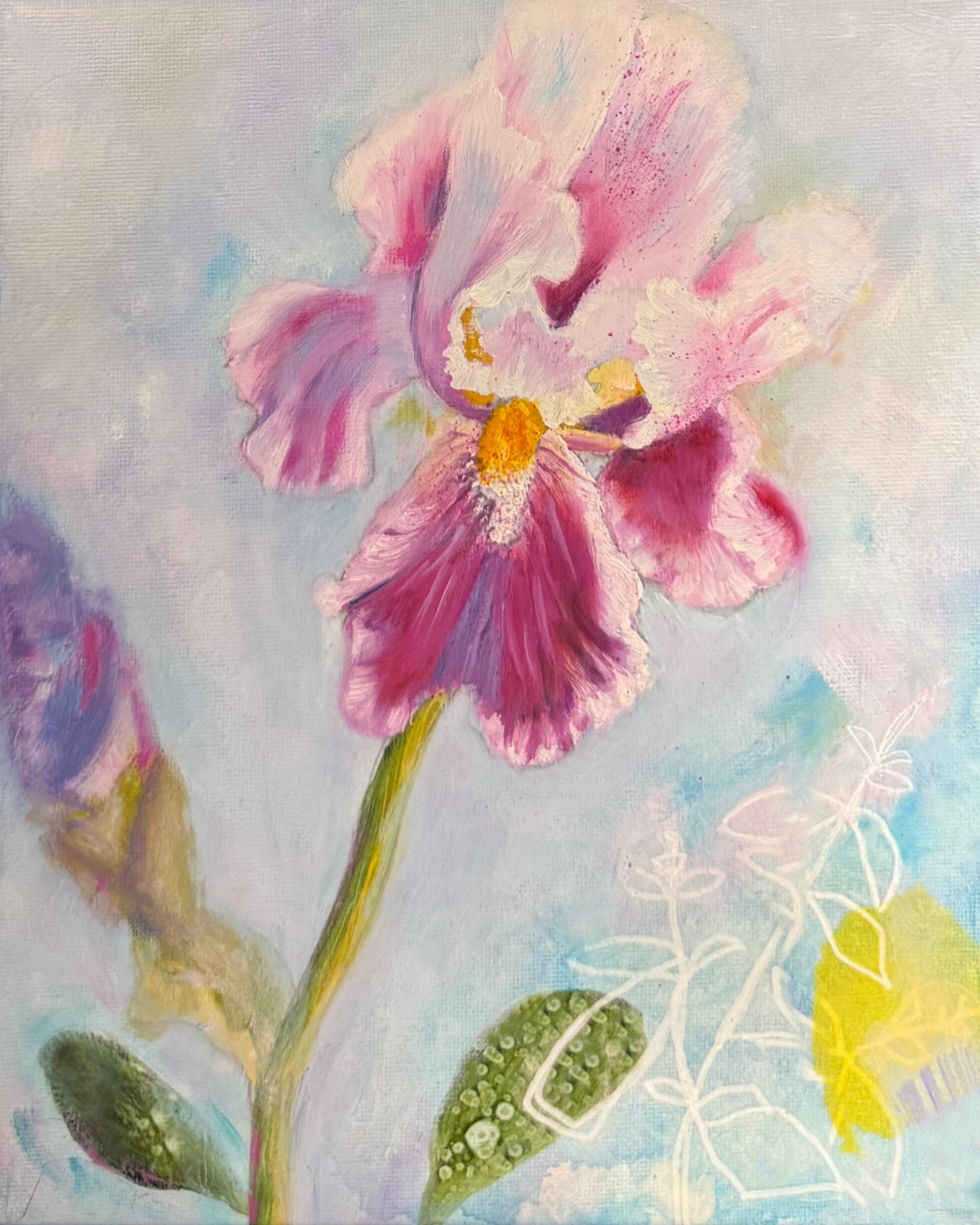 Pink and burgundy bearded iris against a misty ground with delicate botanical linework.