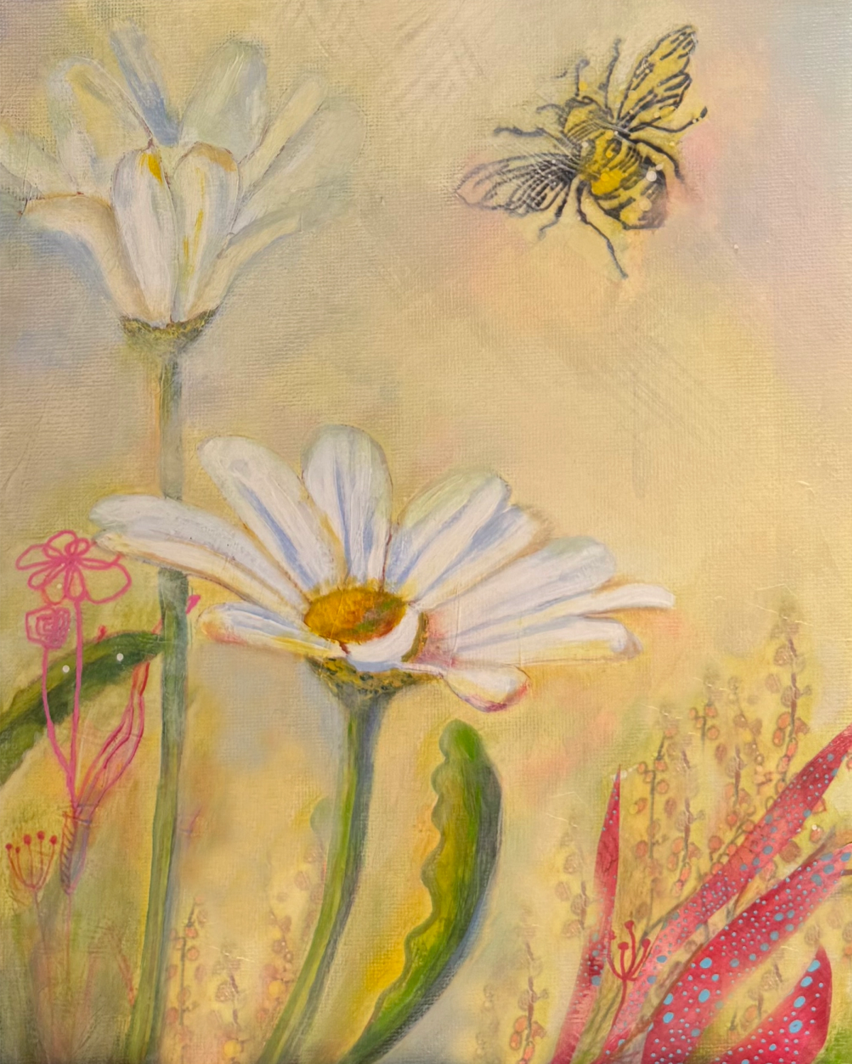 White daisies rising through a warm yellow-pink mystical garden
