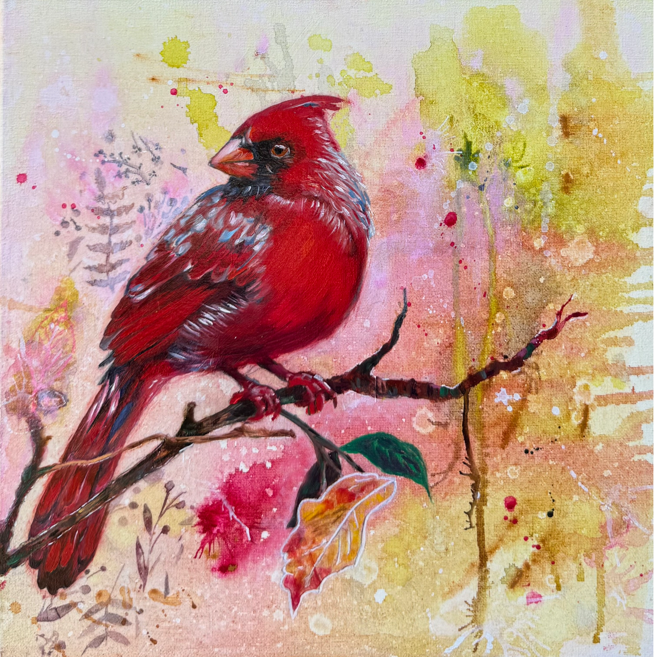 Cardinal perched on a branch with a watchful eye