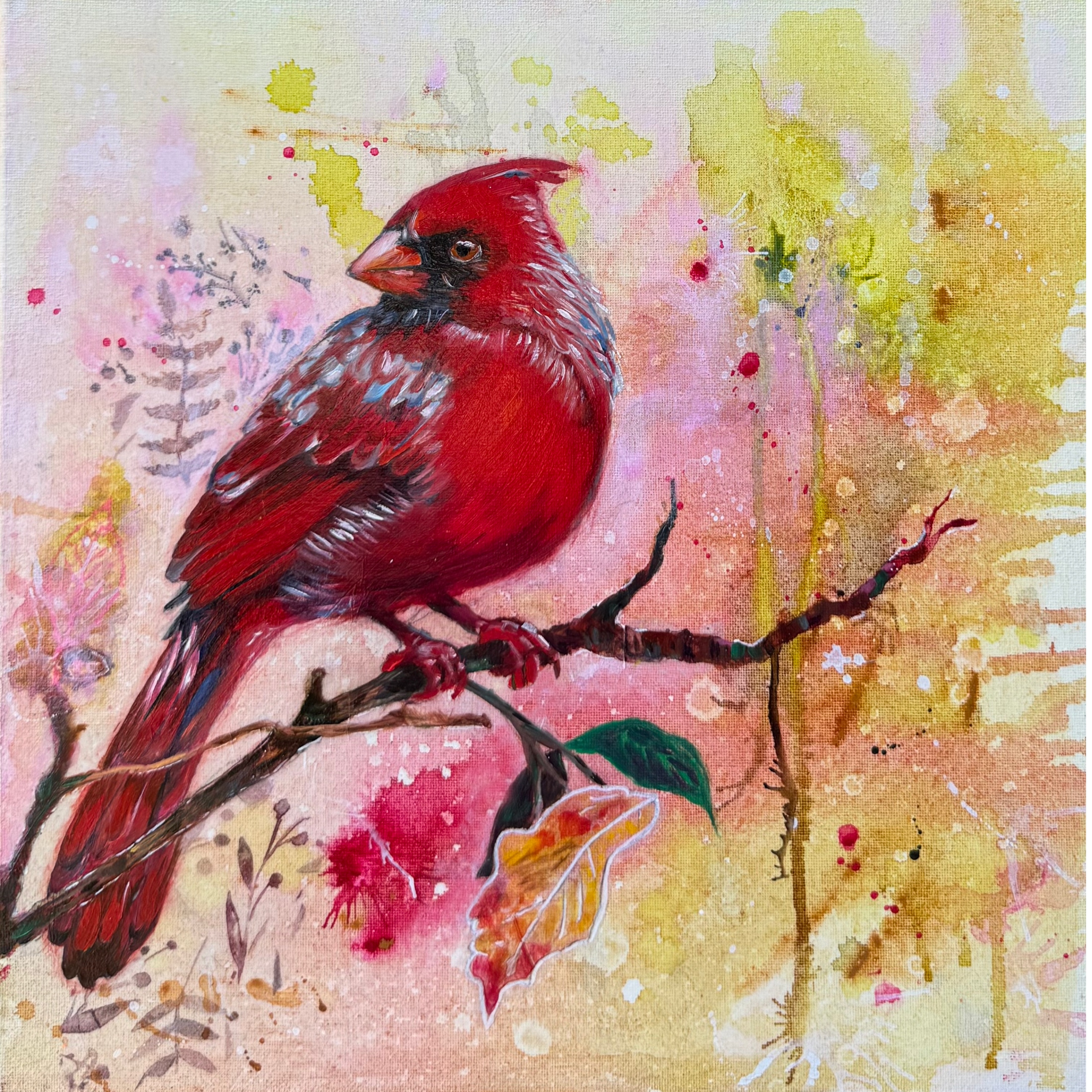 Cardinal perched on a branch with a watchful eye