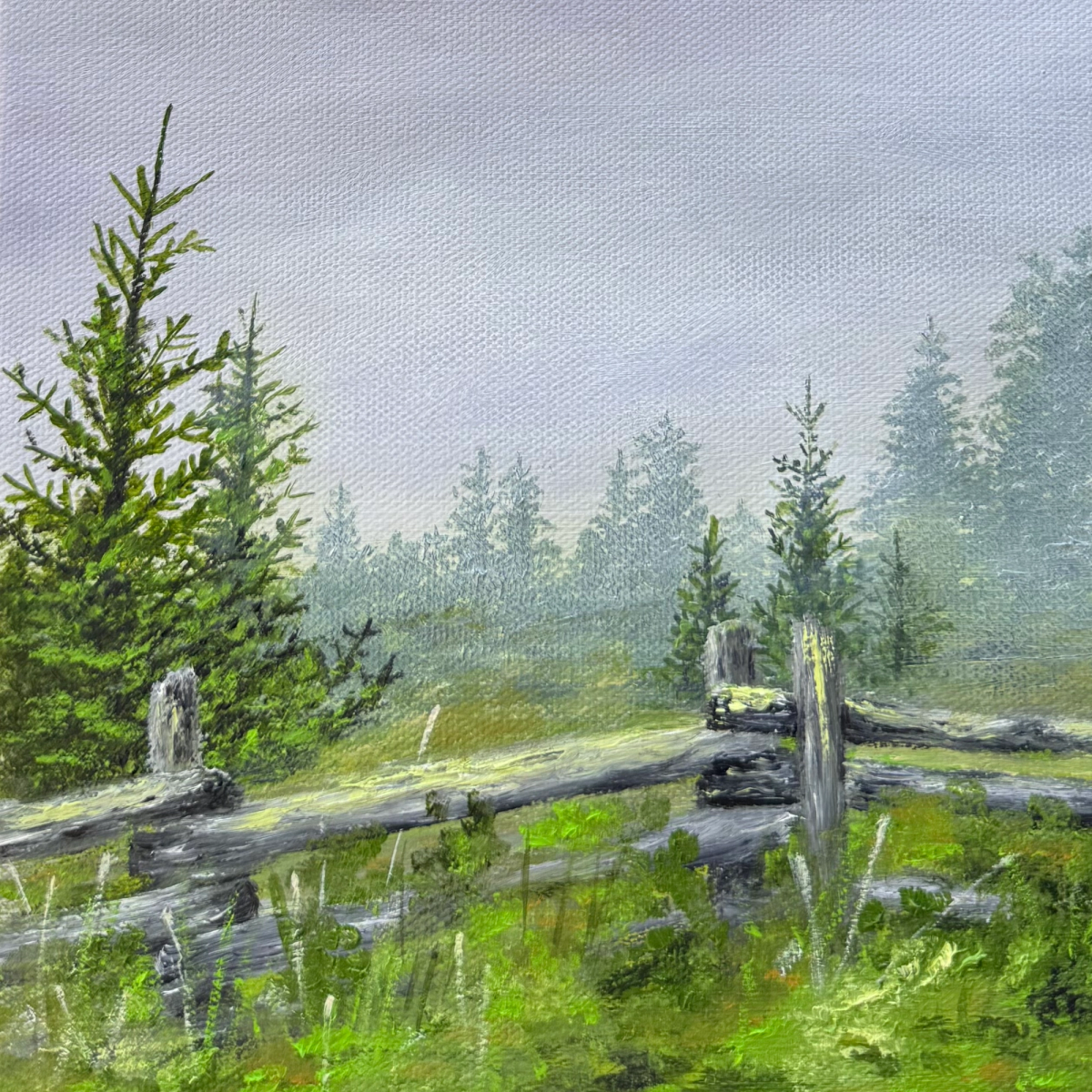 An old wooden fence posted atop Mount Mitchell, guarding the forest.