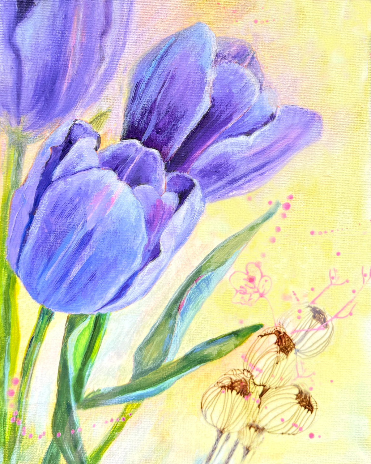 Three violet tulips with bud drawing soaking up the morning sunshine.