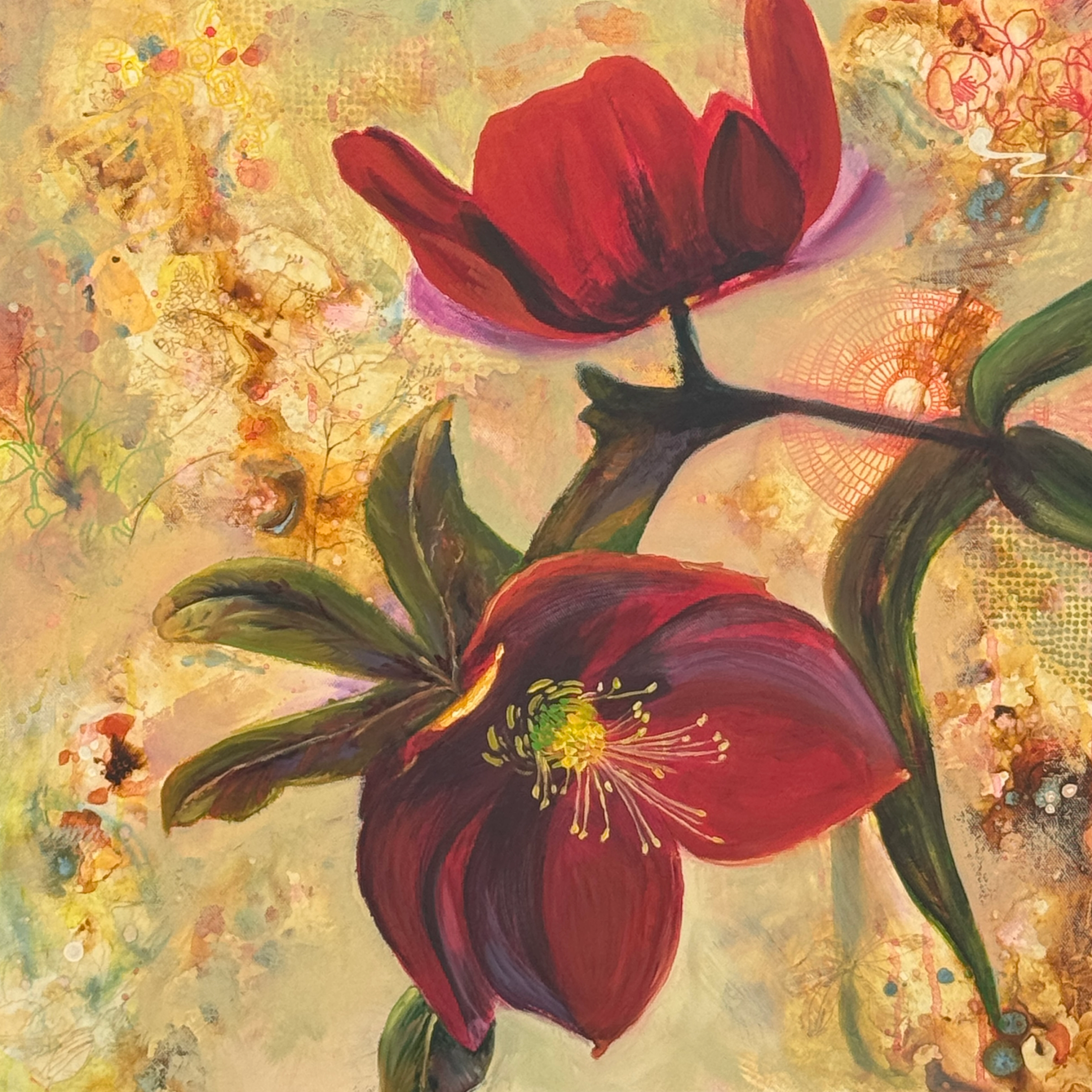 Two dark red hellebores are in full bloom, showing off their yellow-green stamens in the center.