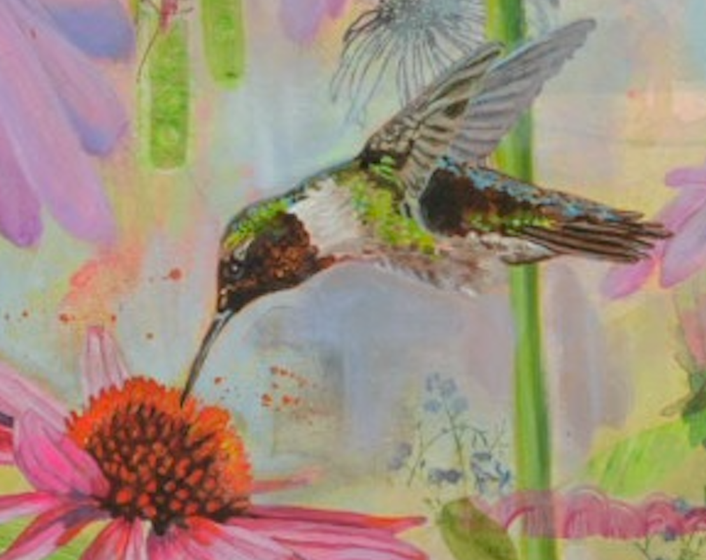 Colorful painting of a Ruby-throated hummingbird hovering near coneflowers by New Hampshire artist Sue Elkus.