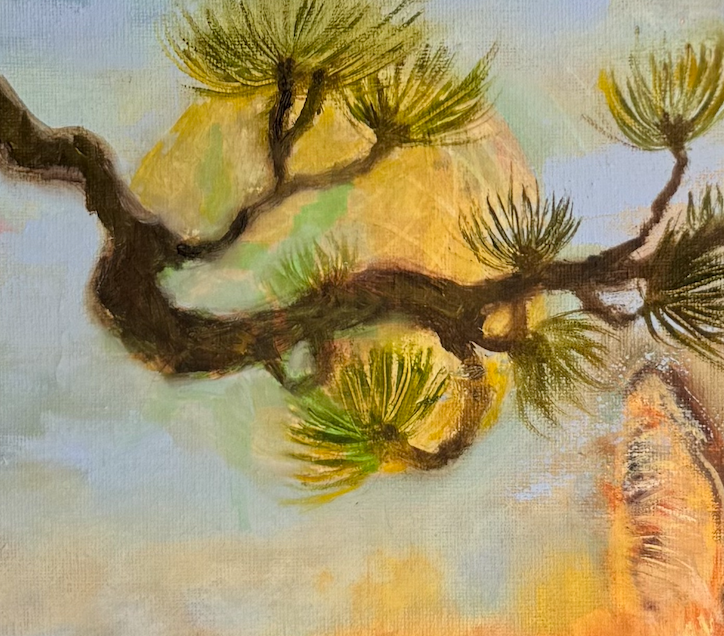 A glowing sun behind the pine branch