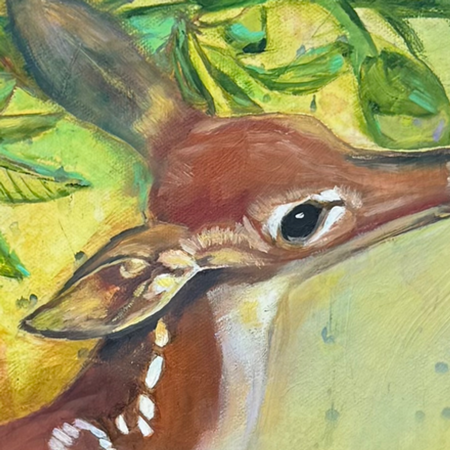 Sweet fawn face