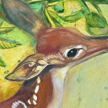 Sweet fawn face