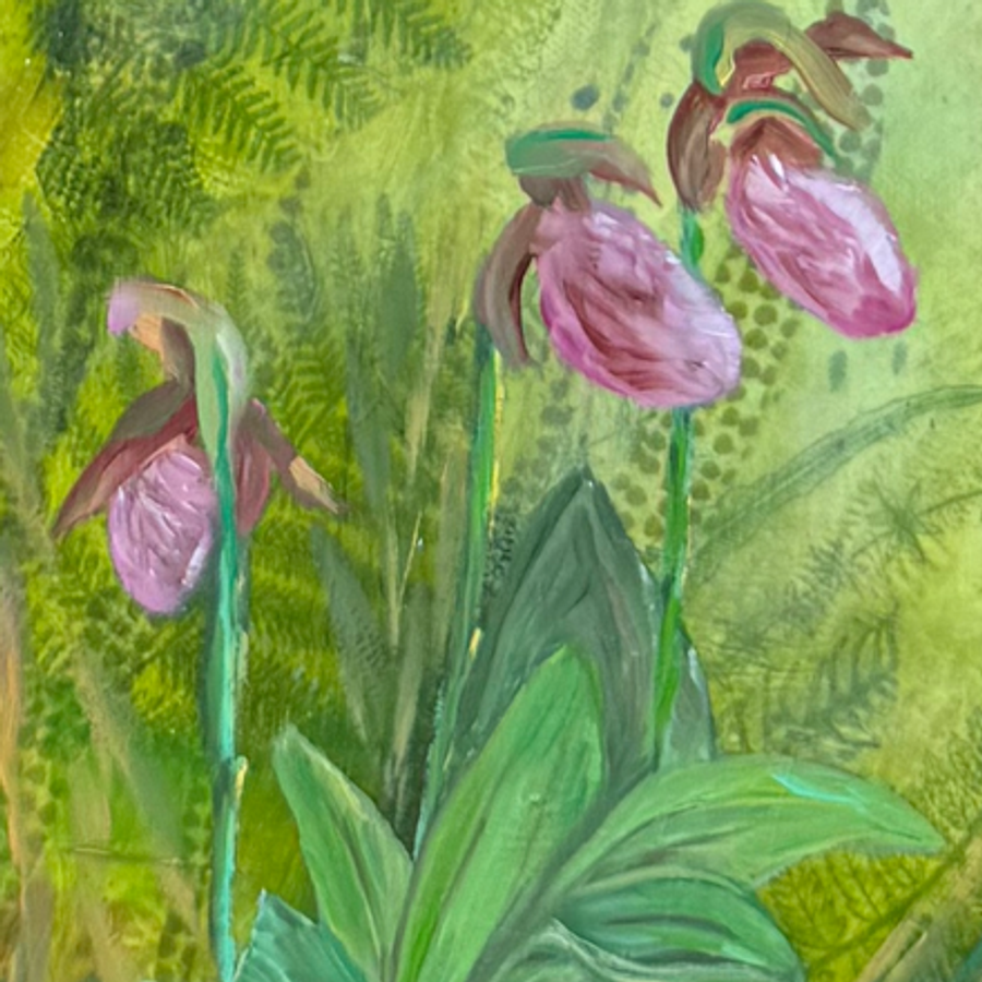 Lady slippers on forest floor