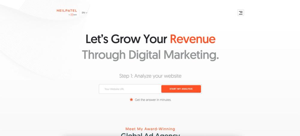 Screenshot of Neil Patel