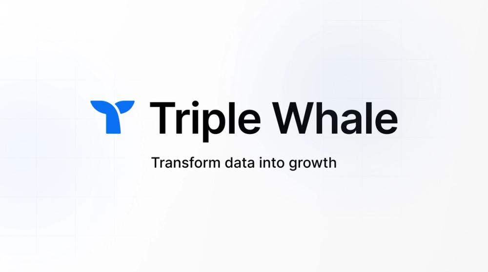 Screenshot of Triple Whale