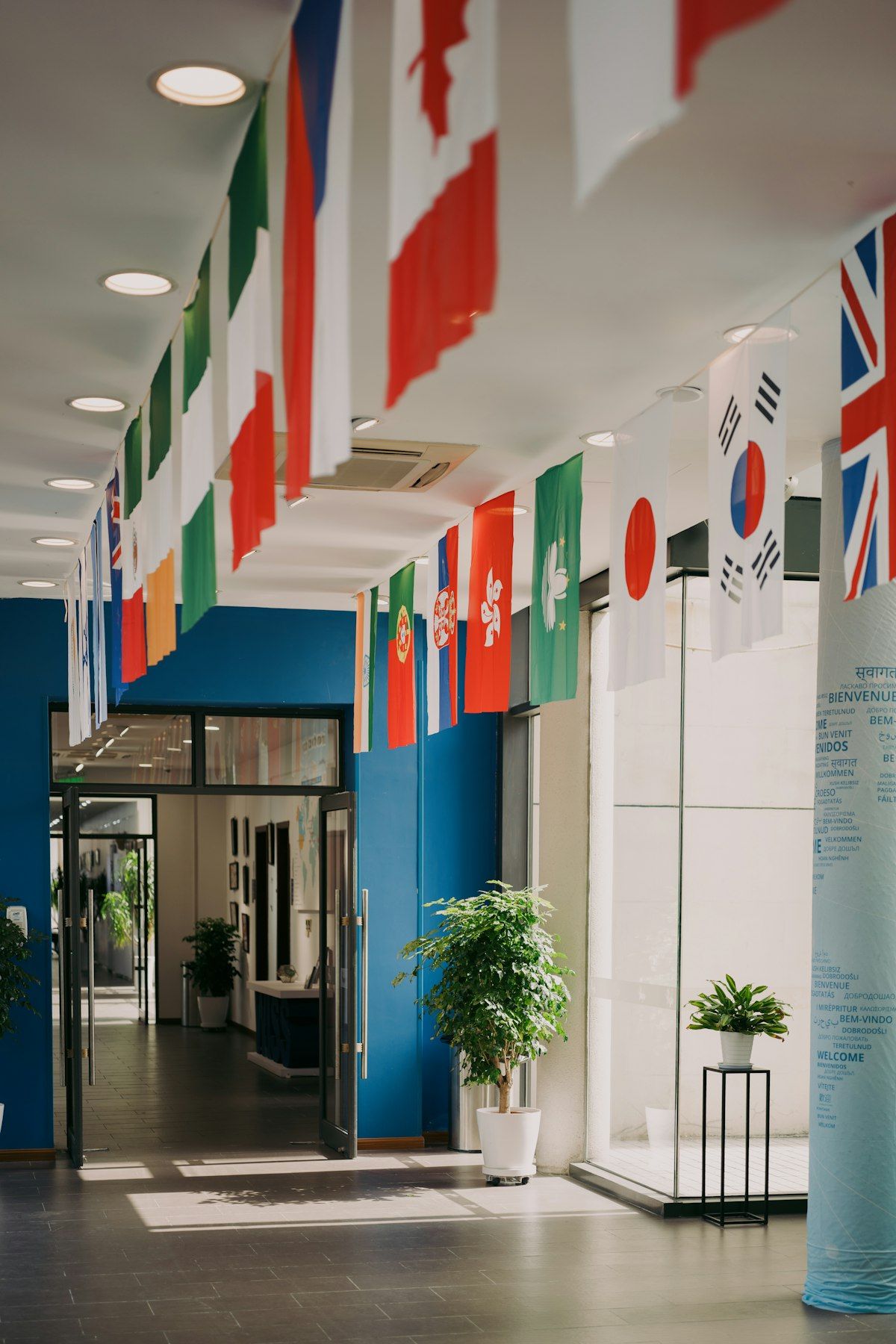 Статус Special Trade Company (STC) в Грузии