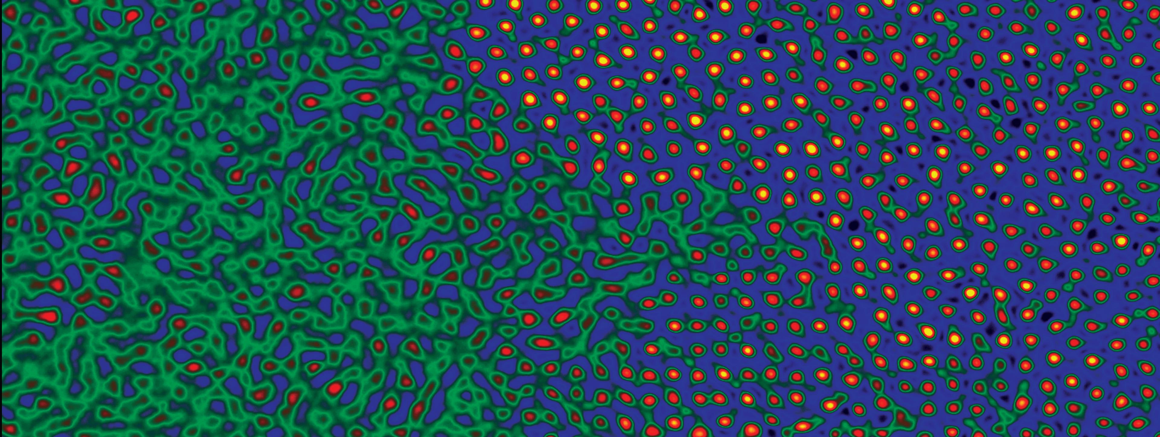 Aberration-corrected transmission electron microscopy image of a thin film of the relaxor ferroelectric Ca0.28Ba0.72nb2O6on a srtiO3 substrate (in false colours). Both the amorphous area on the left (with predominant green colour), created by ion milling during processing, and the complex structure of the material viewed from the [001] crystallographic axis are clearly resolved. image courtesy of Chun-lin Jia.