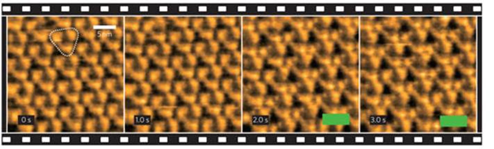 Successive high-speed AFM images of bacteriorhodopsin proteins