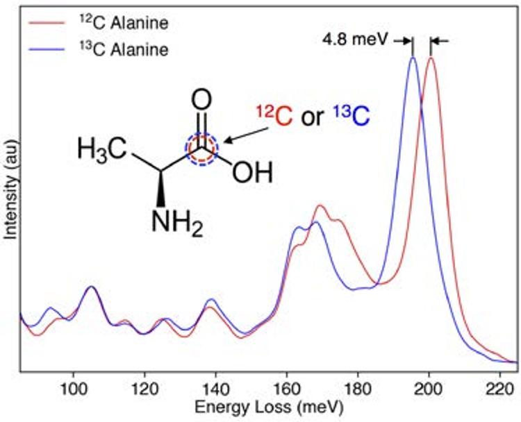  Fig. 6.  Experimental vibrational spectra of two forms of the amino acid L-alanine, differing by a single 12C atom substituted by 13C. The 4.8 meV shift of the large peak at ~200 meV, due to the stretch of the C=O bond, can be mapped to reveal where the two types of molecules reside, at about 100 nm spatial resolution. J. Hachtel et al., Science 363 (2019) 525–528.