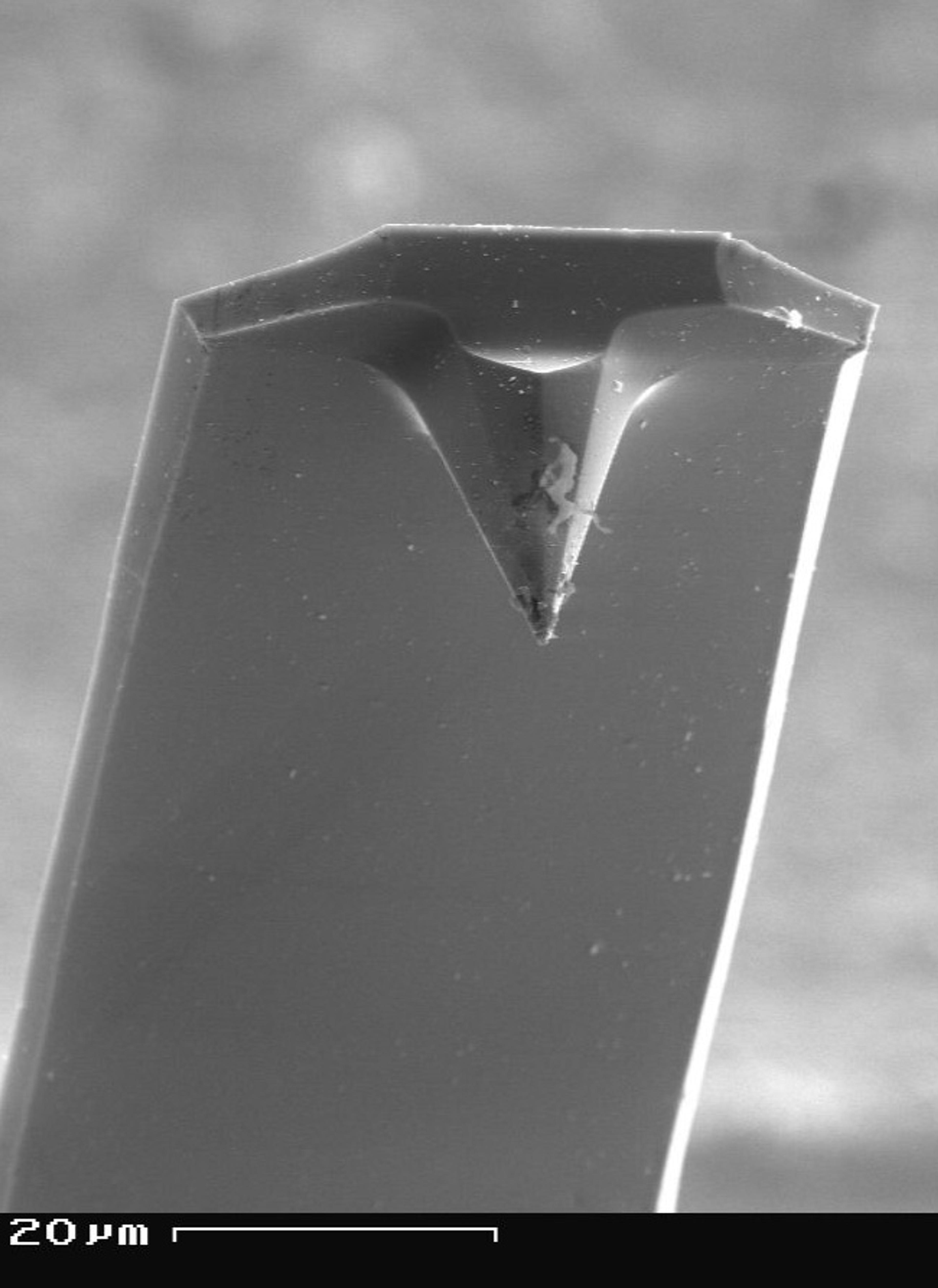 AFM cantilever in scanning electron microscope magnification 