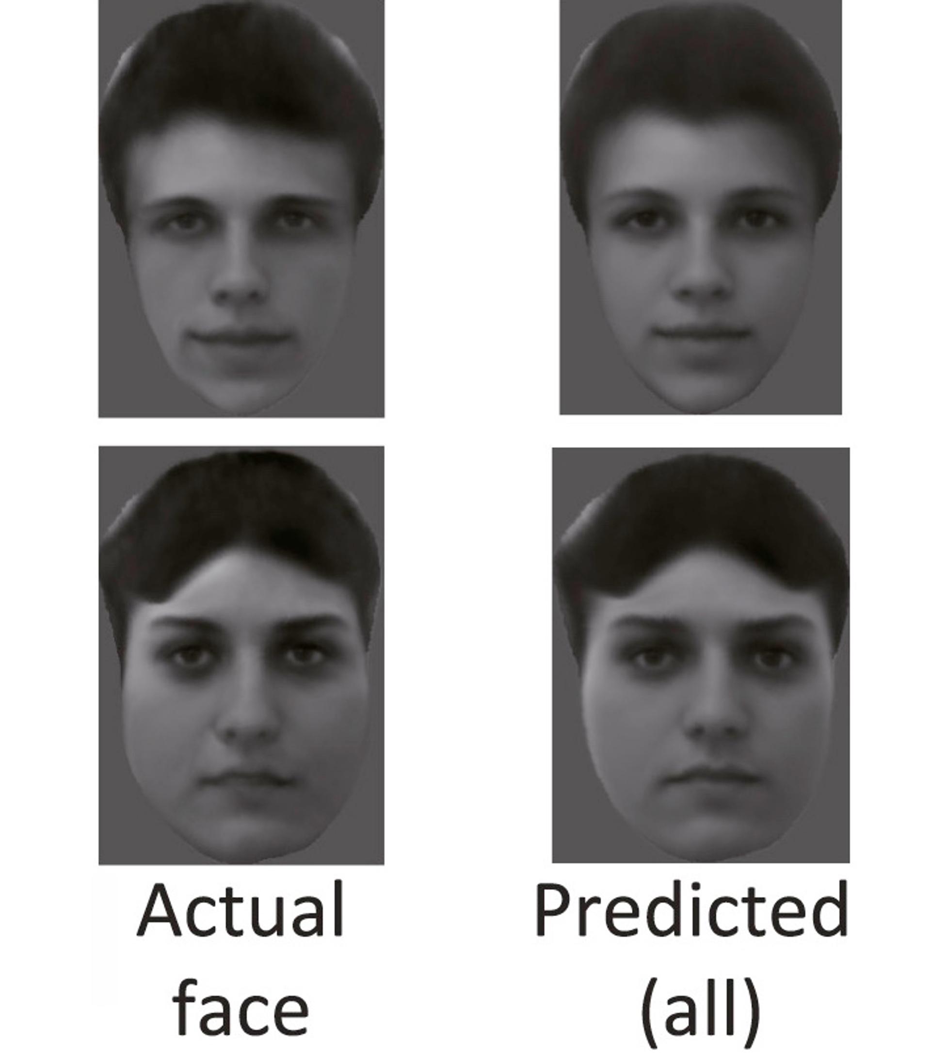 By analyzing the responses of around 200 brain cells, Tsao and her team were able to reconstruct the images macaque monkeys were viewing with remarkable accuracy.