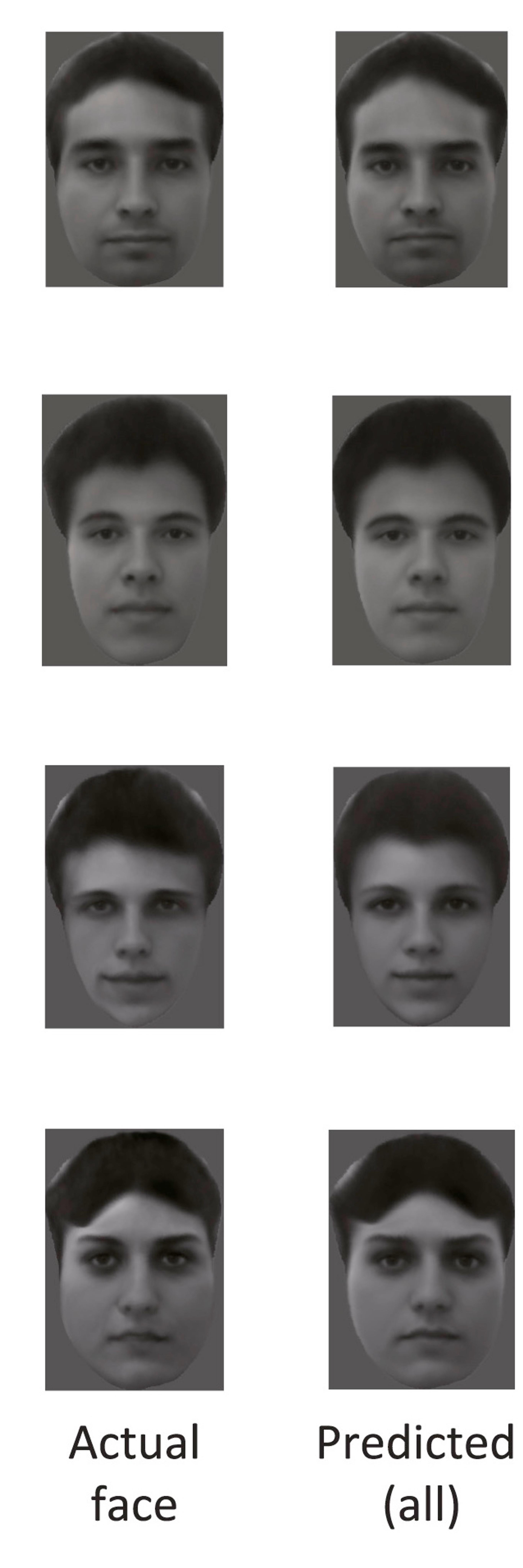 By analyzing the responses of around 200 brain cells, Tsao and her team were able to reconstruct the images macaque monkeys were viewing with remarkable accuracy. Credit: Chang, L. & Tsao, D. Y. (2017). The code for facial identity in the primate brain. Cell, 169(6), 1013–1028. https://doi.org/10.1016/j.cell.2017.05.011