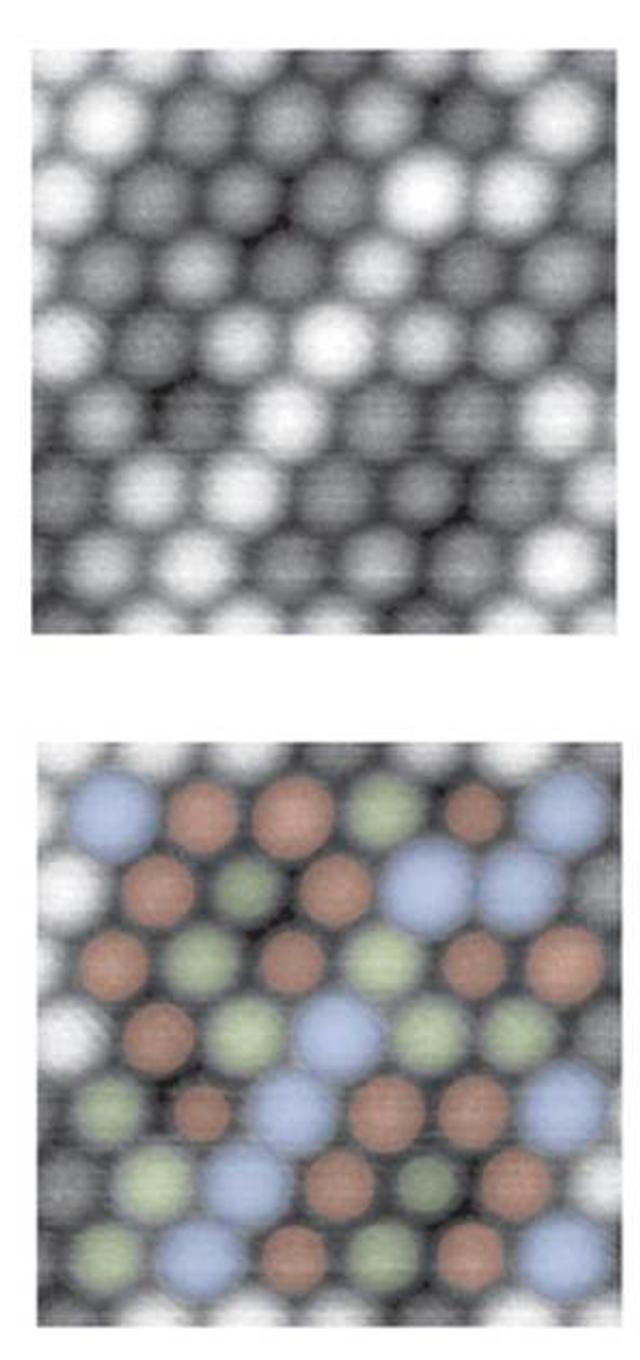 AFM images of Sn, Pb and Si atoms on a Si(111) surface