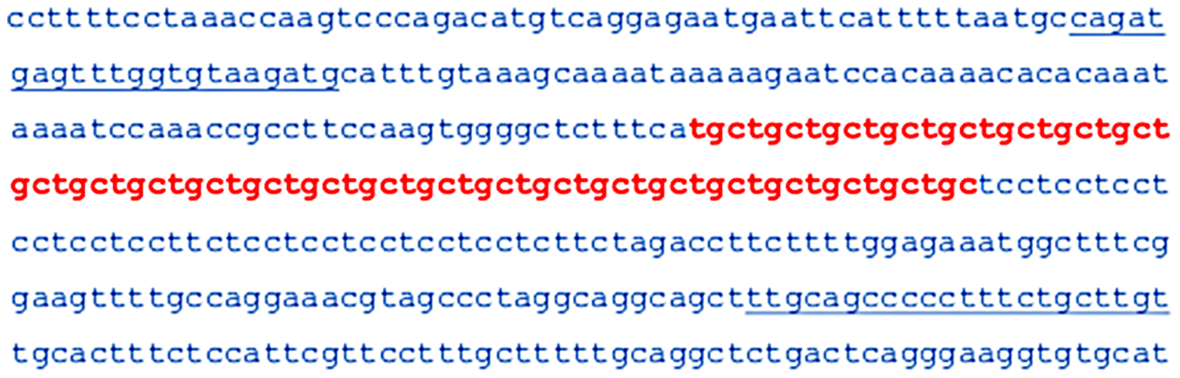 NBNB: CAPTION 1:   It is now recognized that three-letter repeats of DNA, like the one shown here, are involved in more than 50 hereditary diseases, including fragile X syndrome, spinocerebellar ataxia 1, and Huntington’s disease. As the number of repeats increases from generation to generation, disease symptoms develop earlier and are more severe. The TGC repeat shown here in red is associated with a disease of the cornea and blurred vision. Mandel showed that a string of triple-letter repeats — CGG, CGG, CGG, and so on — disrupted the FMR1 gene. People with fragile X have at least 200 repeats in the gene and cannot make the FMRP protein, which is vital for brain function.Credit: Wieben, E.D. et al. (2012) 